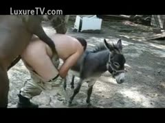 Donkey bonks the anal of a man and grabs the sex gratification